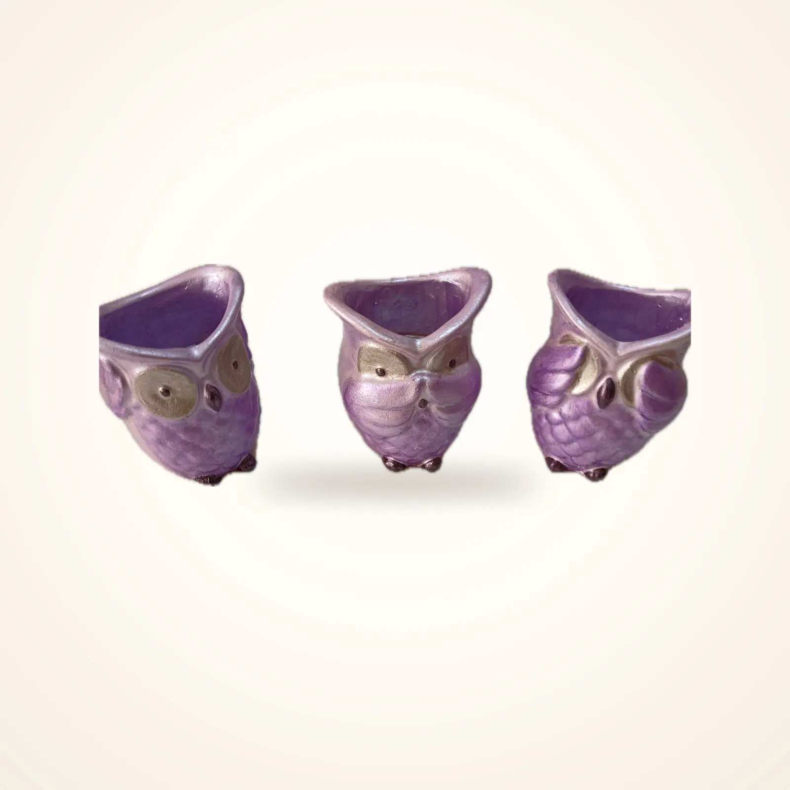 Baykuş Mini Saksı 3'lü Set, Sedefli Mor Sukulent Saksısı